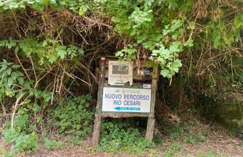 Torre Cavina - Foto 22