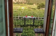 La Masera Holiday - Oliveto - Photo 16