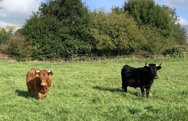 Country House Landlust - Foto 3