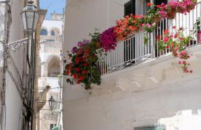 Agriturismo Salinola - Foto 150