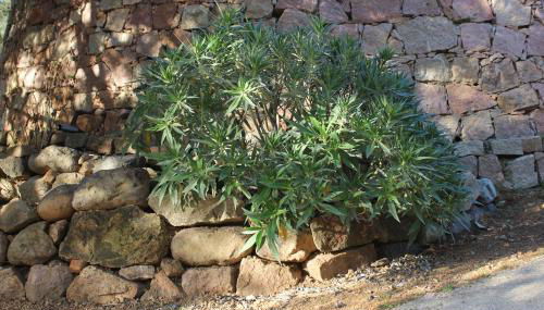 Appartements A Merendella - Foto 5