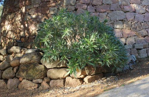 Appartements A Merendella - Foto 5