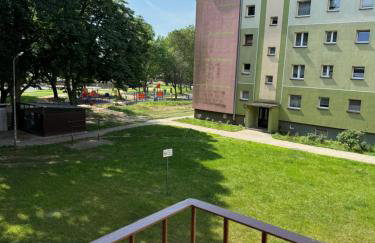 Green Harmony - Foto 26