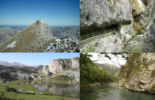 VIVIENDAS DE USO TURÍSTICO La Arboleda I y II - Foto 51