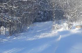 Hüttenzauber Ferienwohnung mitten im Nationalpark - Foto 32