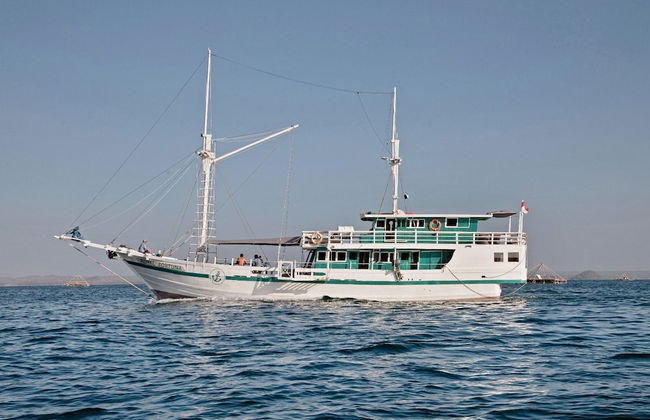 Royal Fortuna - Photo 15