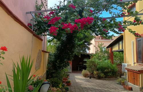 I Due Ciuchini Sardinia - Foto 21