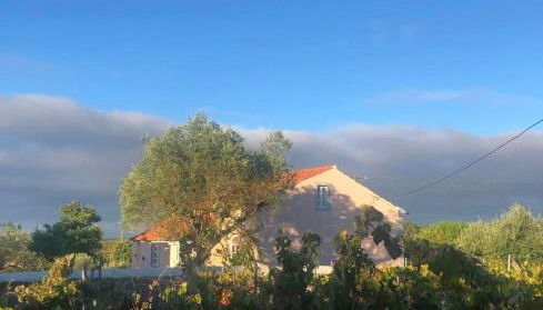 Linhal das Meias - São José das Matas - Foto 3