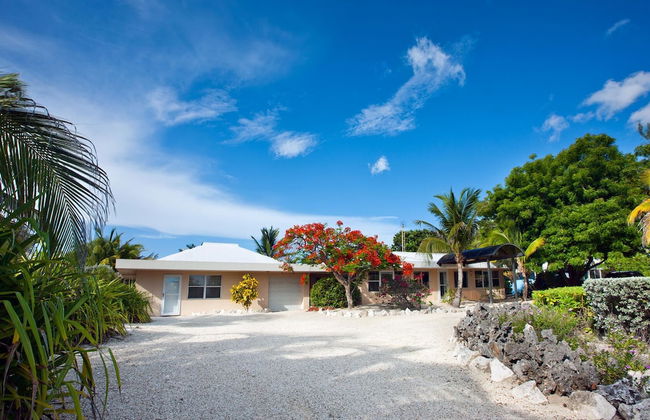 Sea Grape - Photo 31