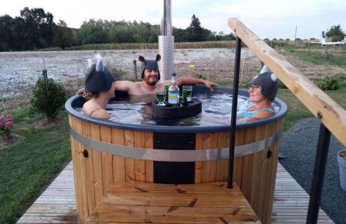 Bain Nordique SPA - Tiny house à la campagne - Photo 22