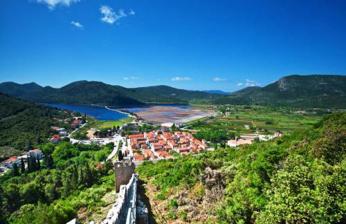 Villa Mali Ston (3588) - Foto 45