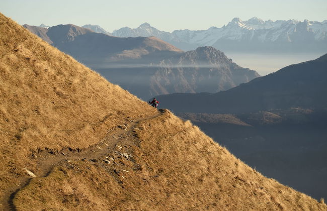 Alexander Place - Foto 39