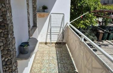 Dalmato - Photo 9
