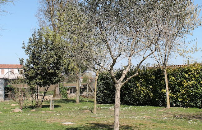 Agriturismo Le Clementine - Foto 33