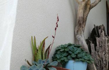 House by the sea/Σπίτι στην θάλασσα - Foto 18