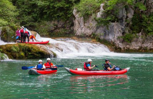 Forest Paradise - Foto 50