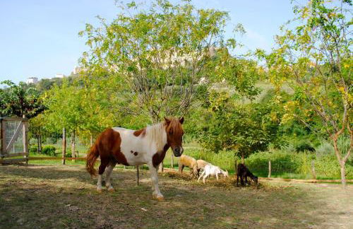 Agriturismo L'Arca di Anna Brambilla - Foto 54