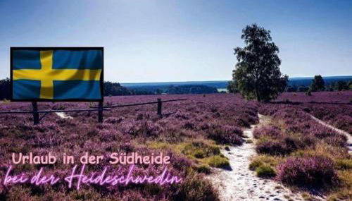 Ferienwohnung Heideschwedin - Foto 2