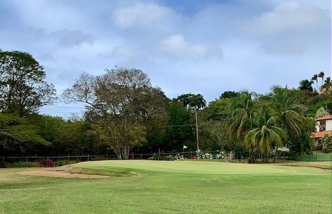 Moonshine 316 Rockley Golf Club - Foto 18