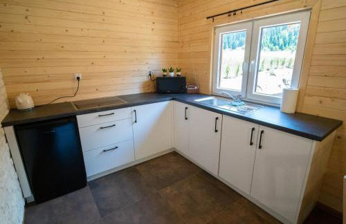 Domki nad rzeką w Komańczy - Foto 20