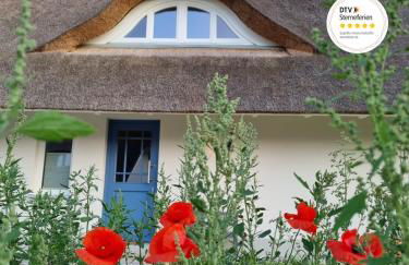 Reetsnacker - Ferienhaus mit Kamin, Sauna und Whirpool für 8 Personen - Foto 1