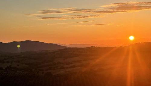 Il Belvedere di Montiano - Foto 5