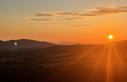 Il Belvedere di Montiano - Foto 5