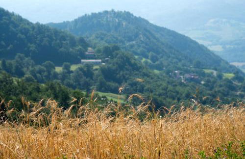 Agriturismo Terrazza sul Parco - Foto 51