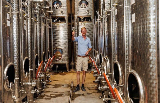 Discover the Château Island Wine Concept: Wine Tasting Experience in Algaida - Foto 6