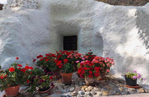 Cueva El Guindas - Photo 32
