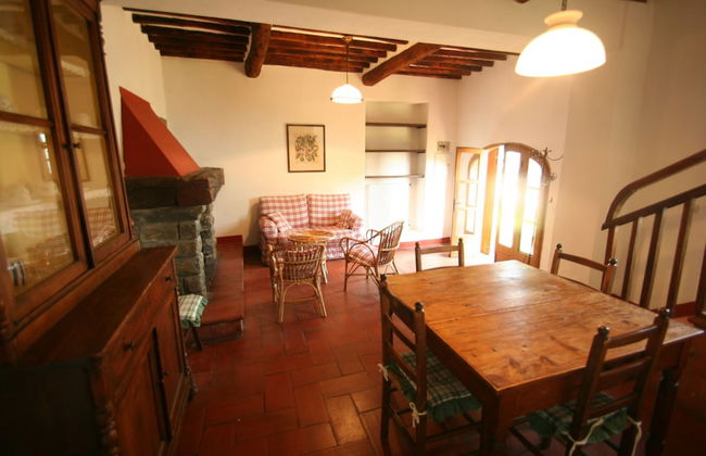 Fattoria Gambaro di Petrognano - Foto 40