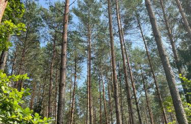 Palma de Masuria Ekskluzywny Dom na wyłączność - Foto 41