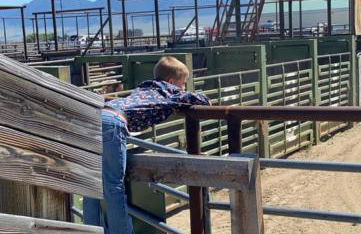 Mountain View Suite - Foto 22