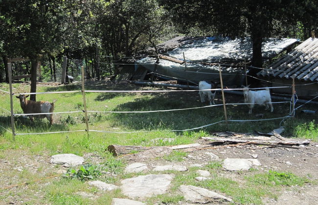 Cevennes Stone Retreat - Foto 30