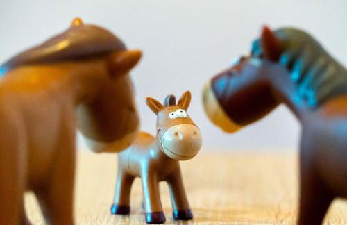 Landhaus Familie Allgeier - Foto 64