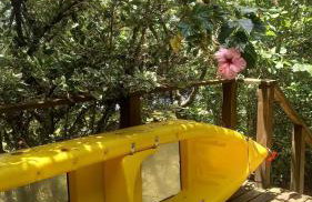 Casa Costa na beira da Lagoa acesso trilha ou barco - Foto 23