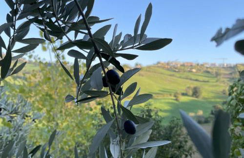 B&B Il Sogno - Foto 12