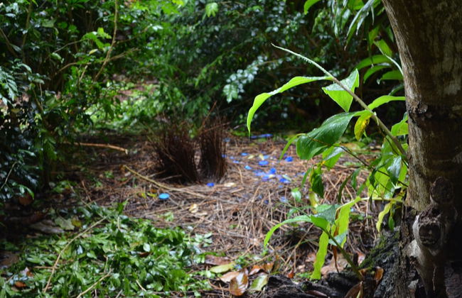 Camelot Boutique Accommodations - Foto 21