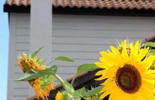 Casa da Aguada - Photo 33