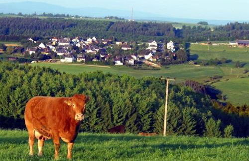 Sabine Comfortable holiday residence - Foto 14