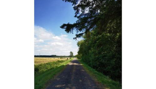 Farmhouse for arrival - Foto 3, Other