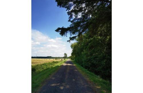 Farmhouse for arrival - Foto 3