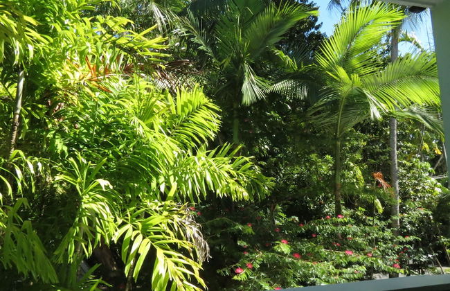 Port Douglas Outrigger Holiday Apartments - Foto 71