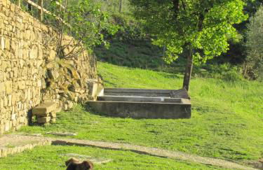 Agriturismo La Fontaccia - Foto 49