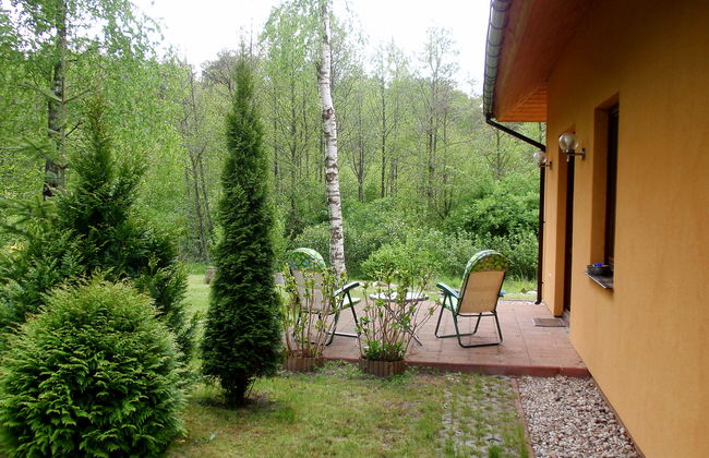 Borowikowa - Foto 16