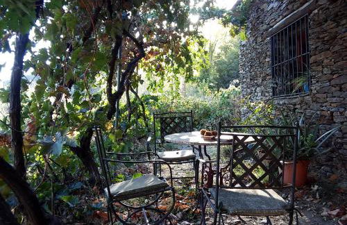 Cortijo Buena Vista - Photo 28