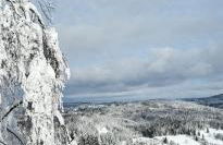 2 Zimmer Mitterdorf - Foto 23