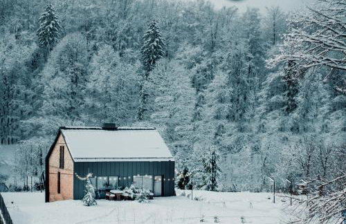 Rezydencja Bieszczady - Solina - Foto 62