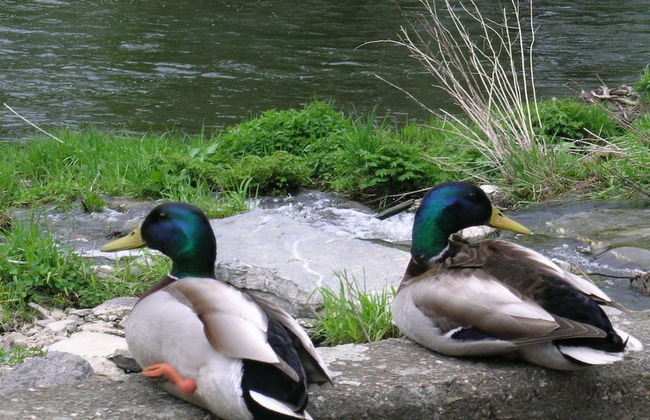 Holiday Home With a Panoramic View of the Ourthe, on a Quietly Located Property - Foto 68