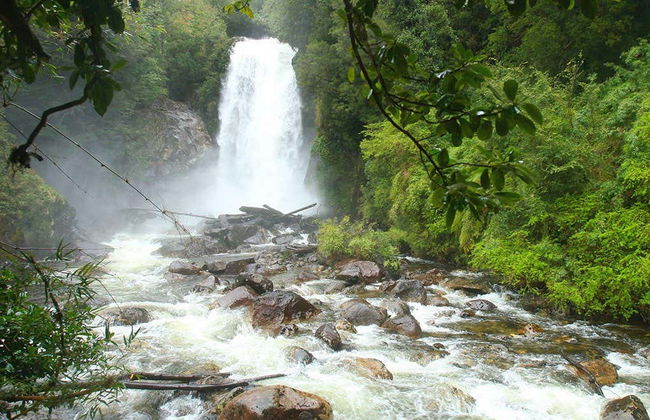 Escursione al Parco Aikén del Sur - Foto 4